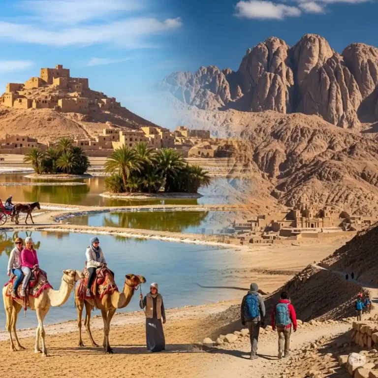أشهر الوجهات الشتوية في مصر للعائلات 2025 – بين الواحات والجبال 1 أشهر الوجهات الشتوية في مصر للعائلات 2025 – بين الواحات والجبال